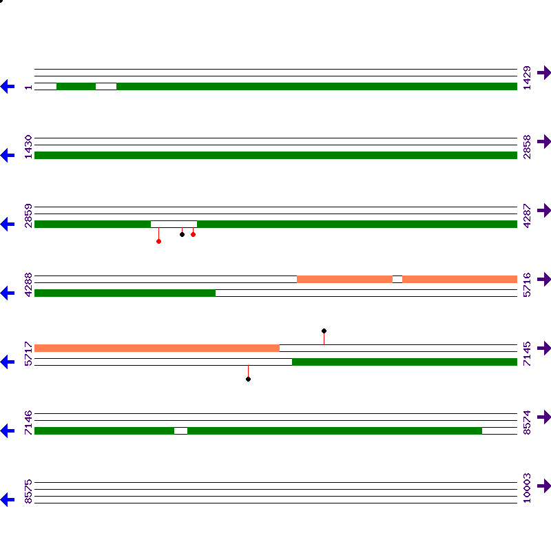 Genome View