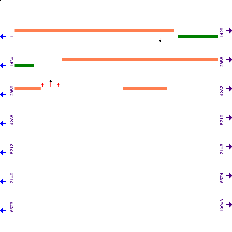 Genome View