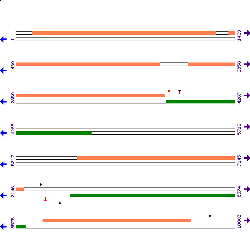 Genome View