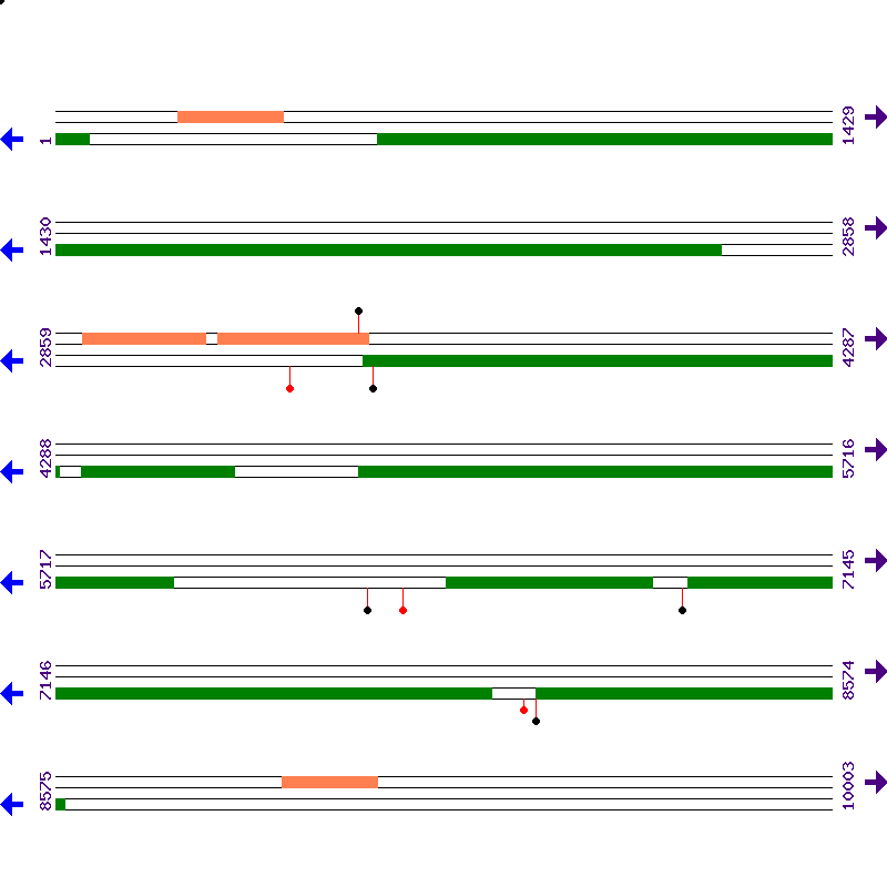 Genome View