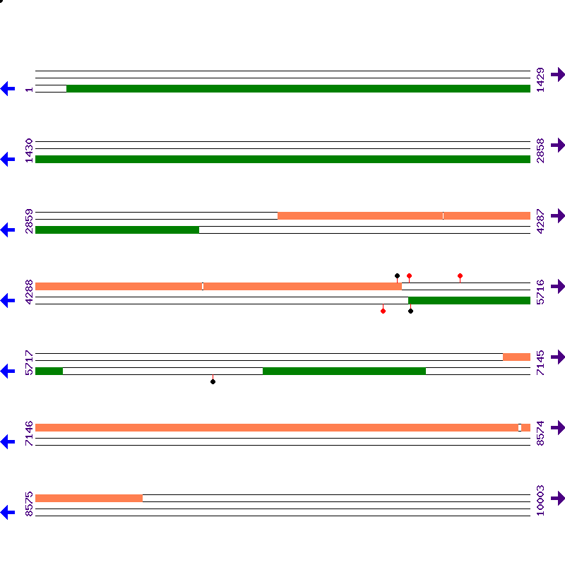 Genome View