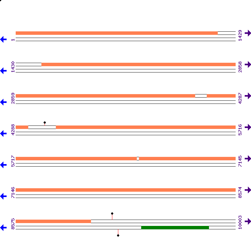 Genome View