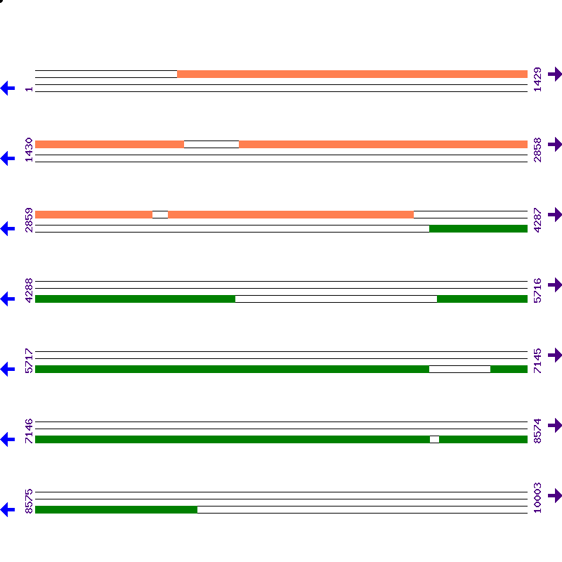 Genome View