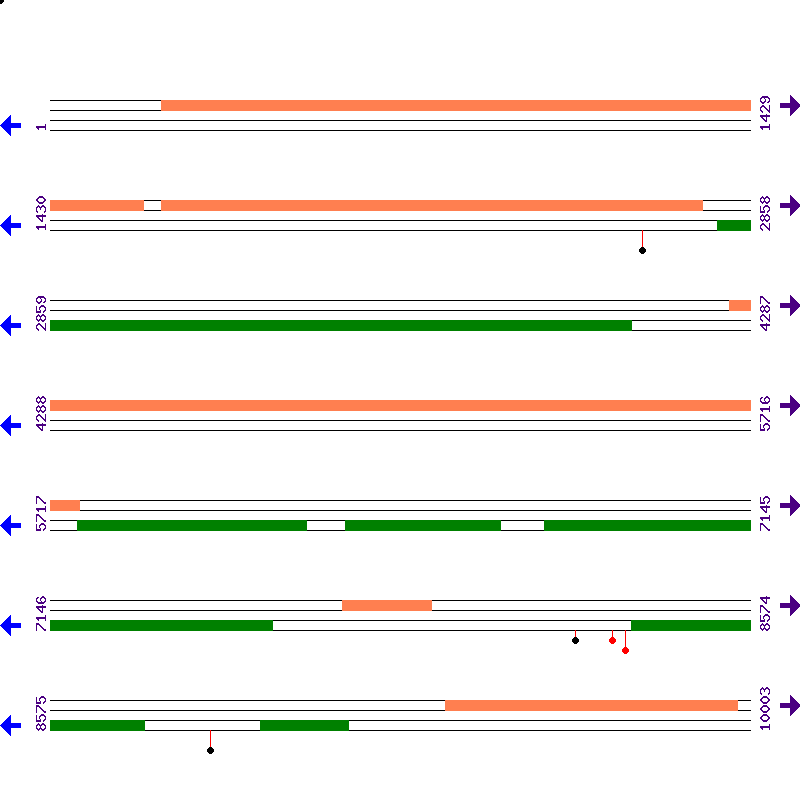 Genome View