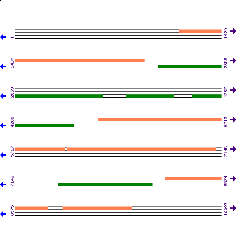 Genome View