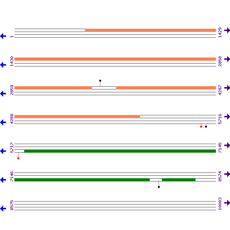Genome View