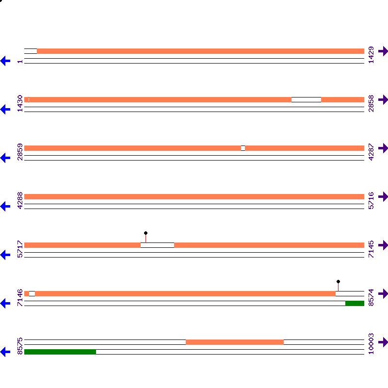 Genome View