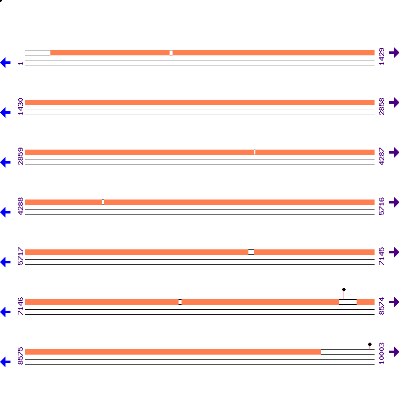 Genome View