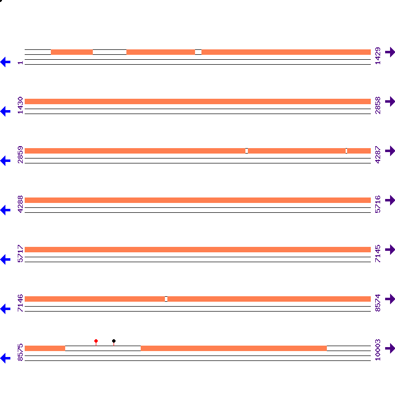 Genome View