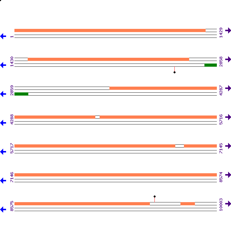 Genome View