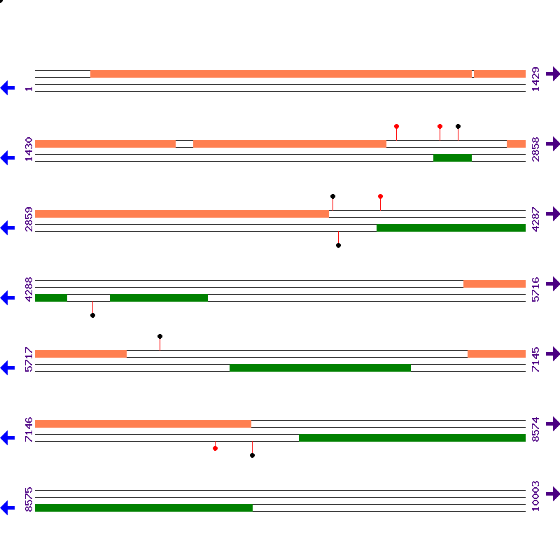 Genome View