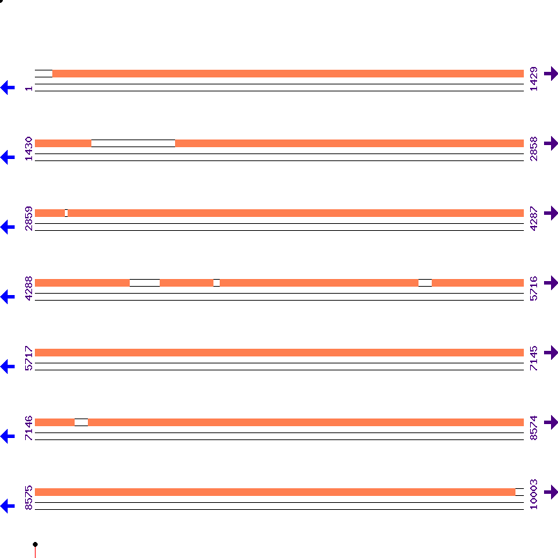 Genome View