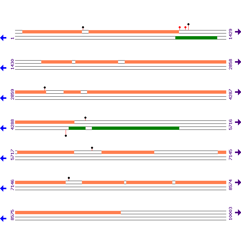 Genome View