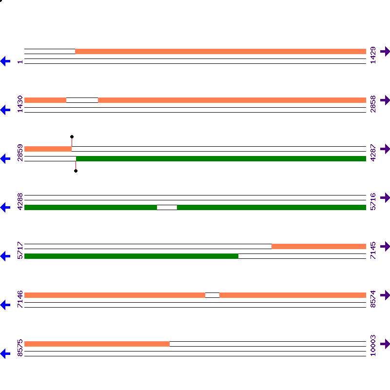 Genome View