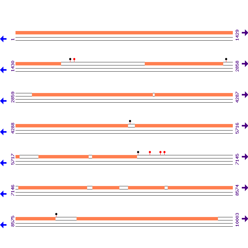 Genome View