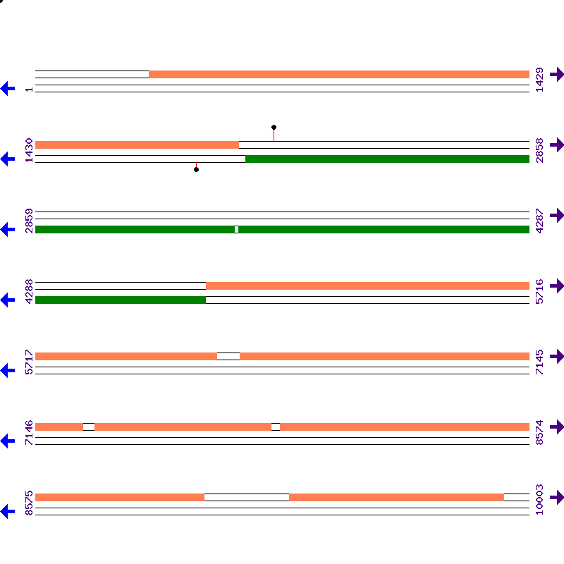 Genome View
