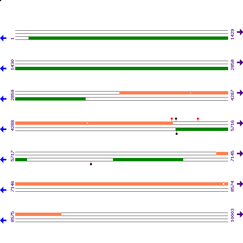 Genome View