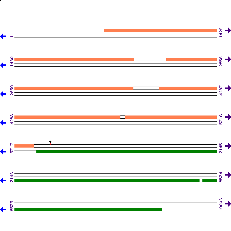 Genome View