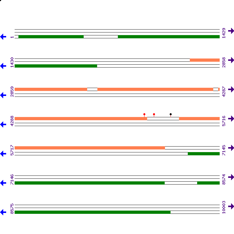 Genome View