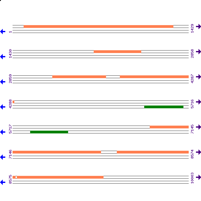 Genome View