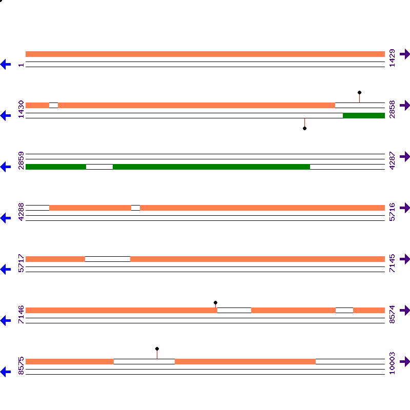 Genome View