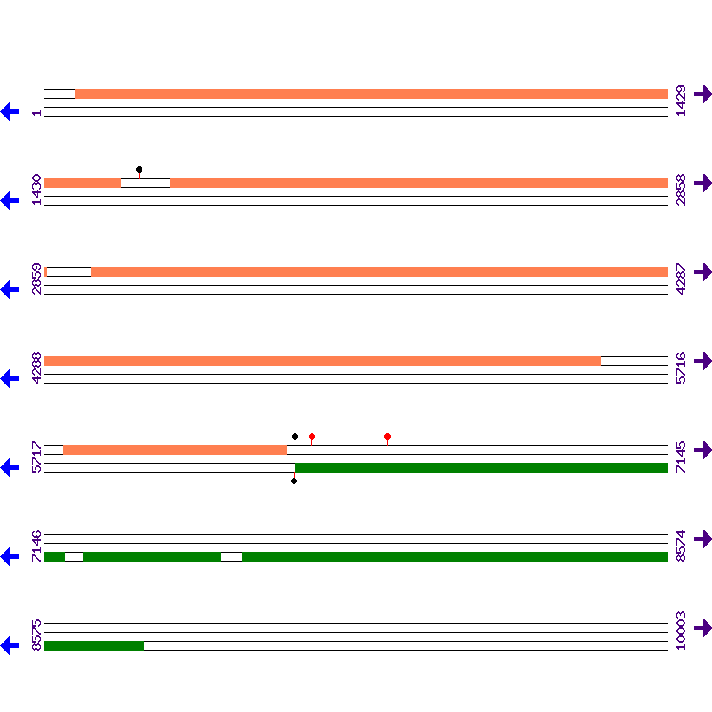 Genome View