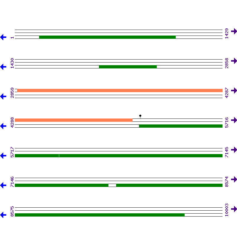 Genome View