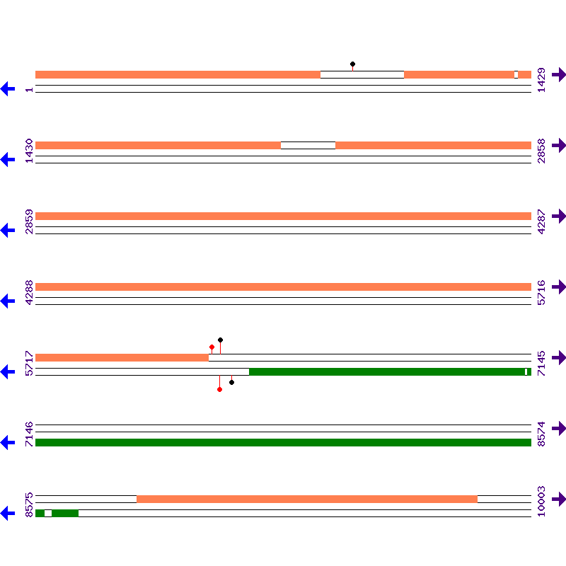 Genome View