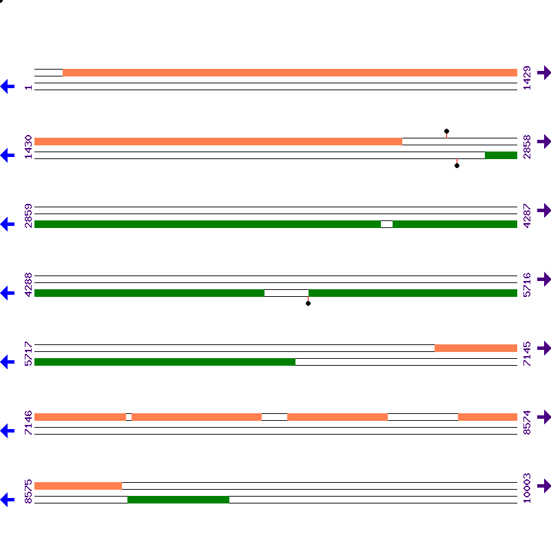 Genome View