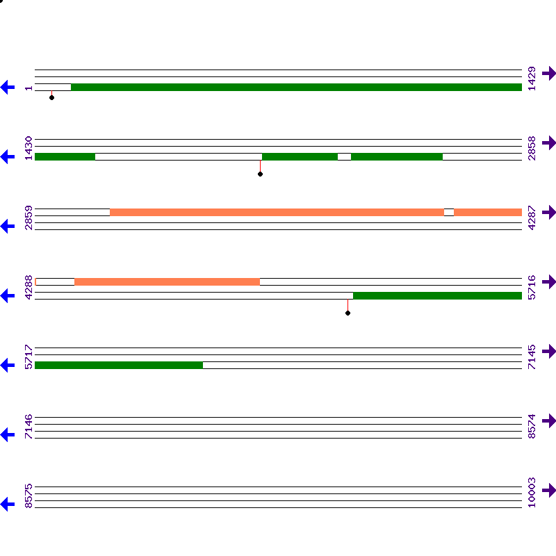 Genome View