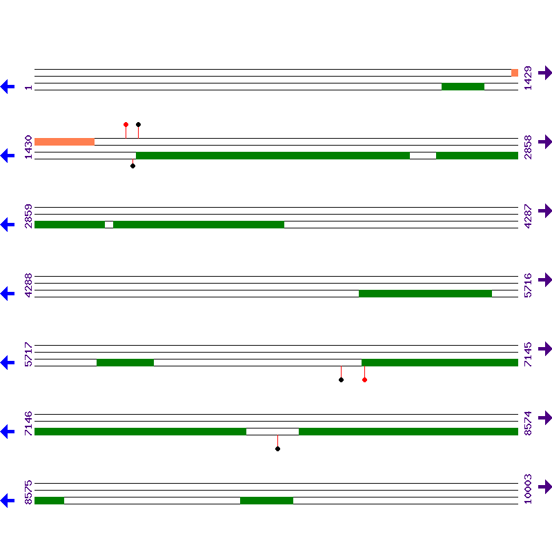 Genome View
