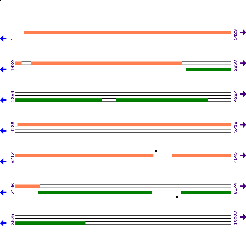 Genome View