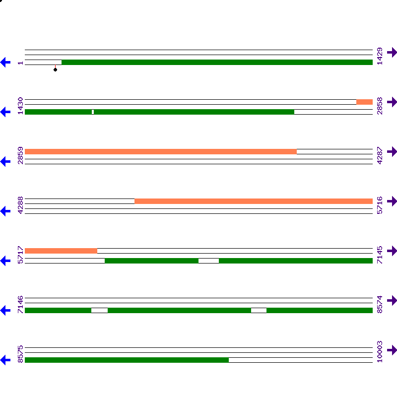 Genome View