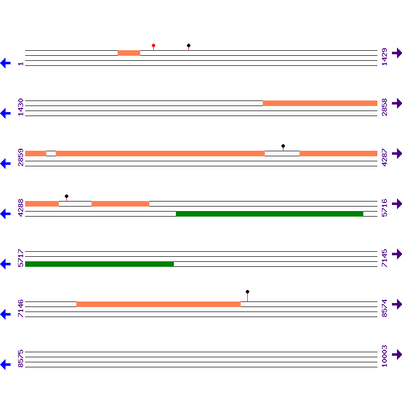 Genome View