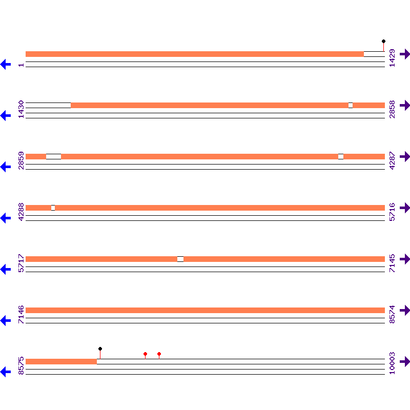 Genome View