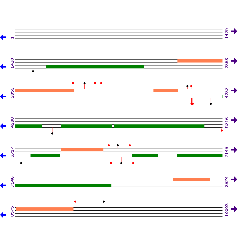 Genome View