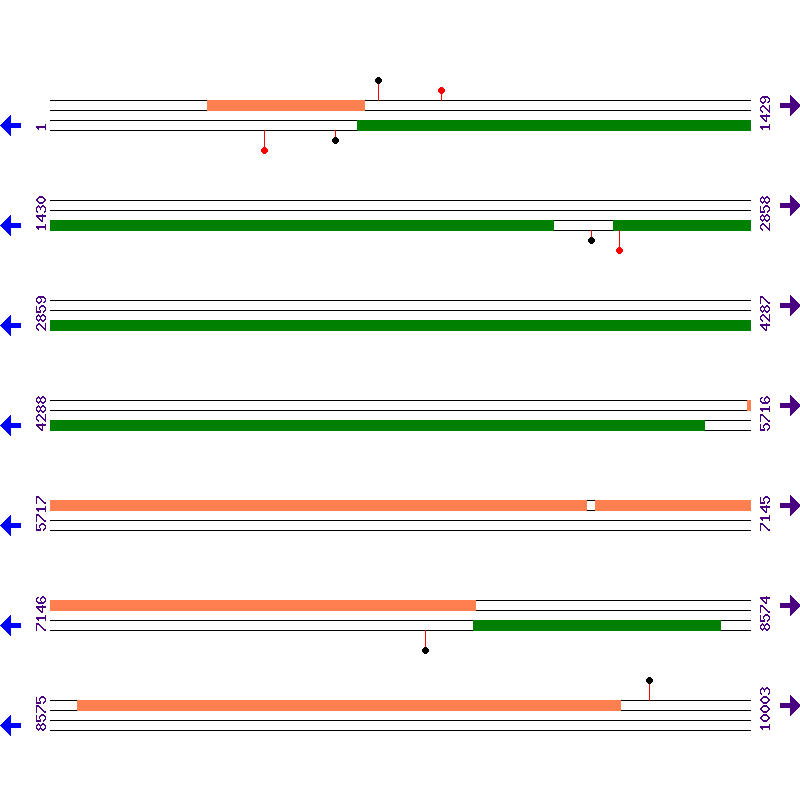 Genome View