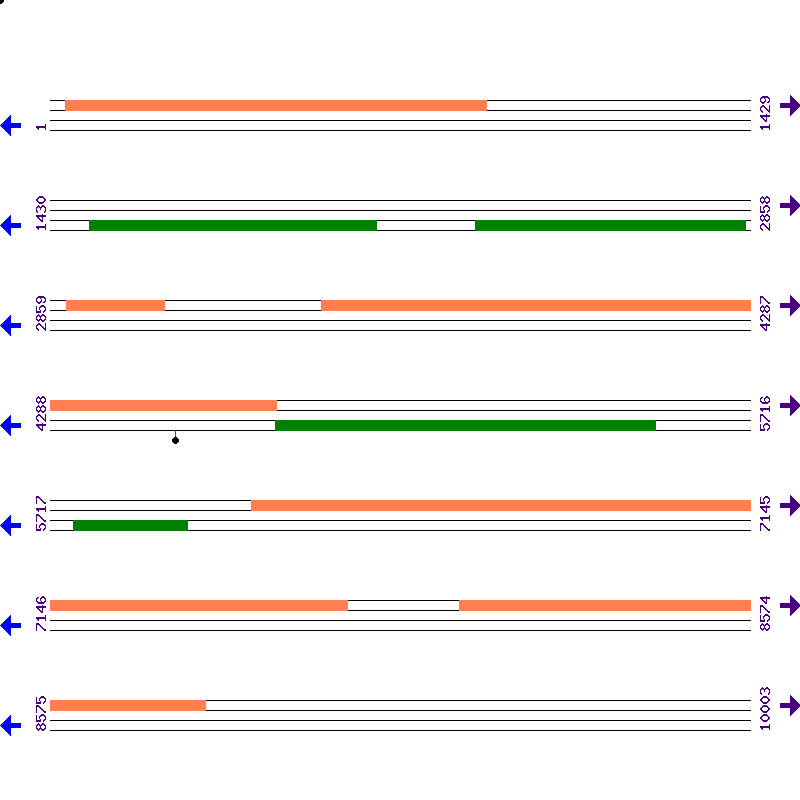 Genome View