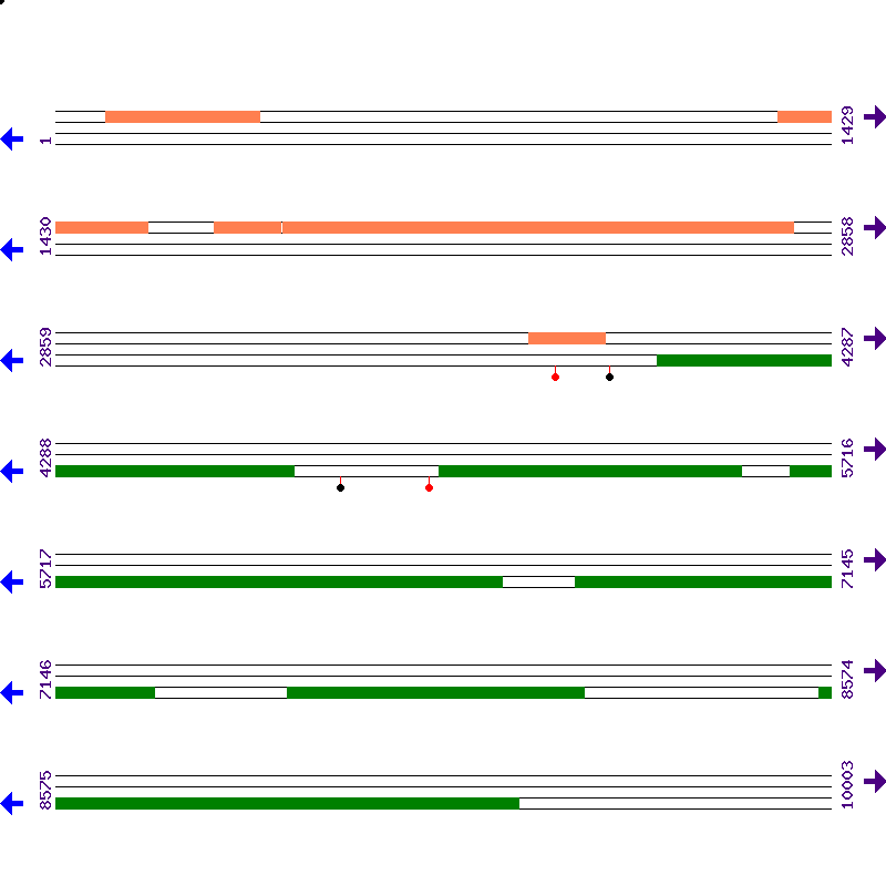Genome View