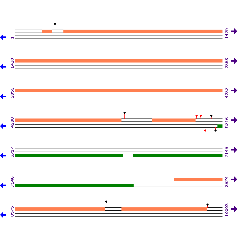 Genome View