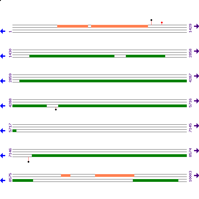 Genome View
