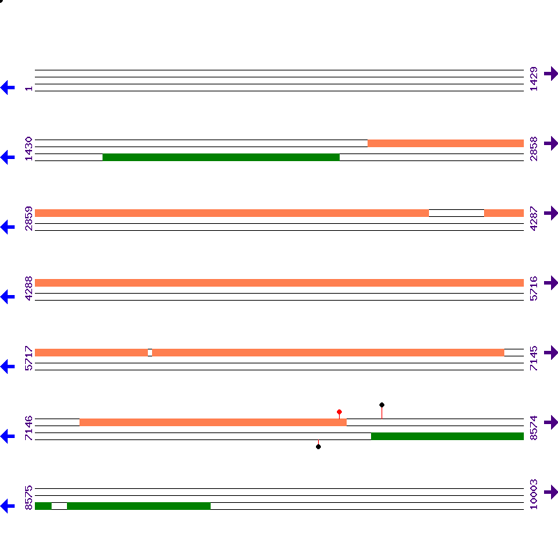 Genome View