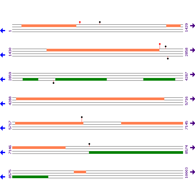 Genome View