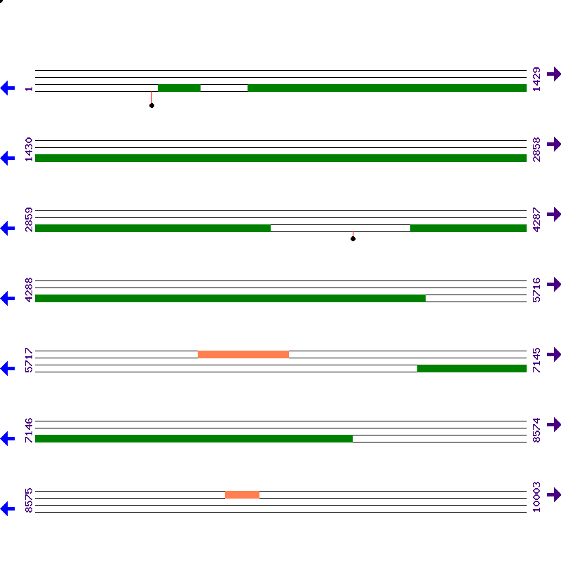 Genome View