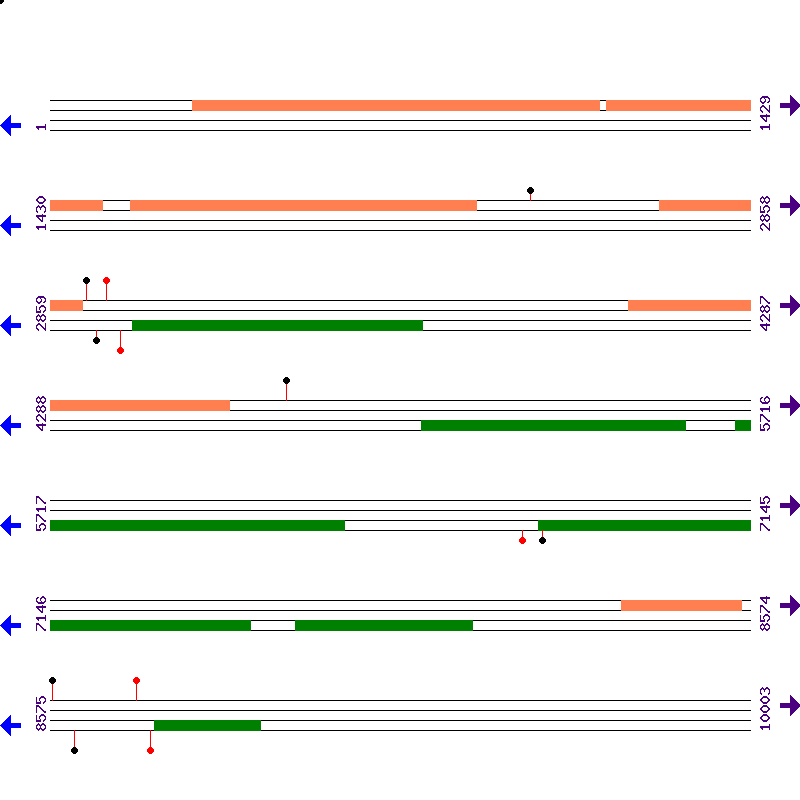 Genome View