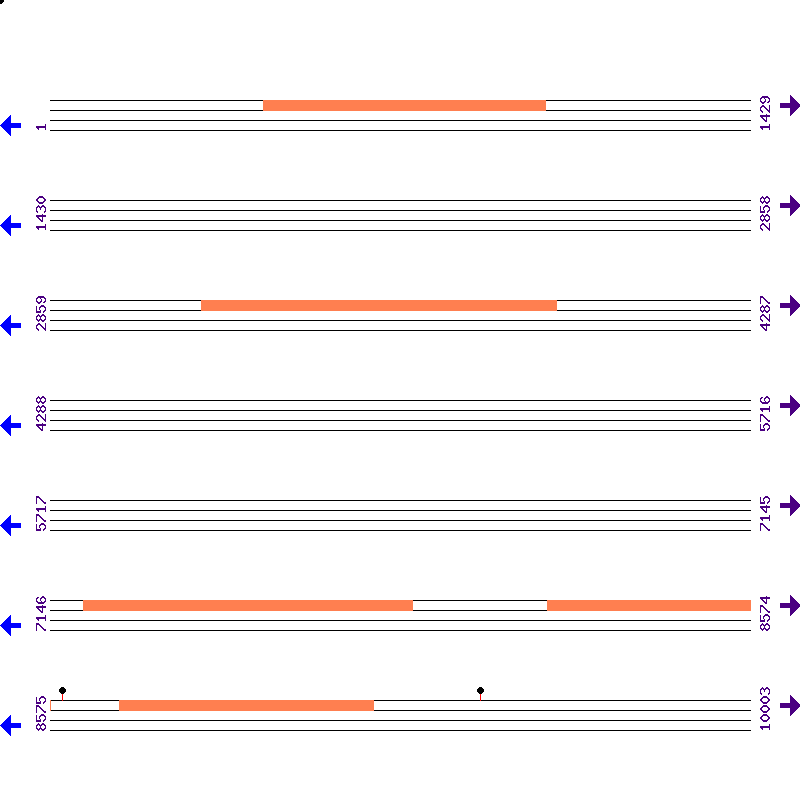 Genome View