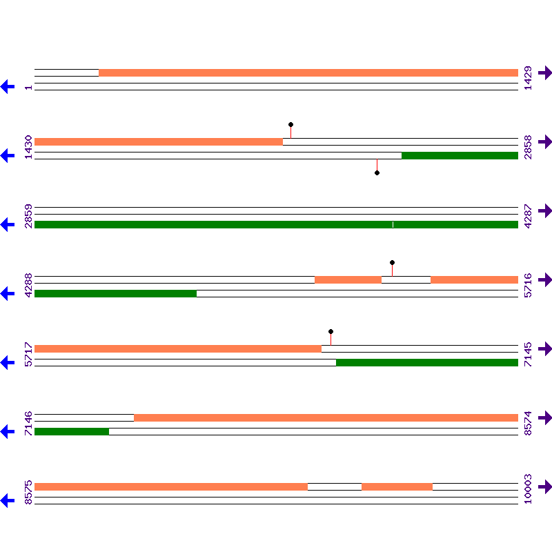 Genome View
