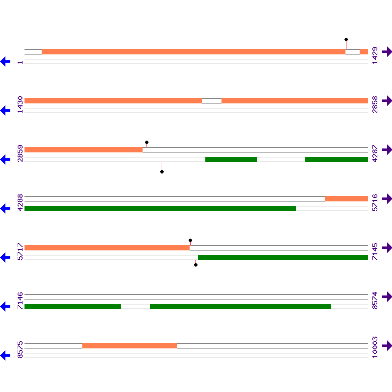 Genome View