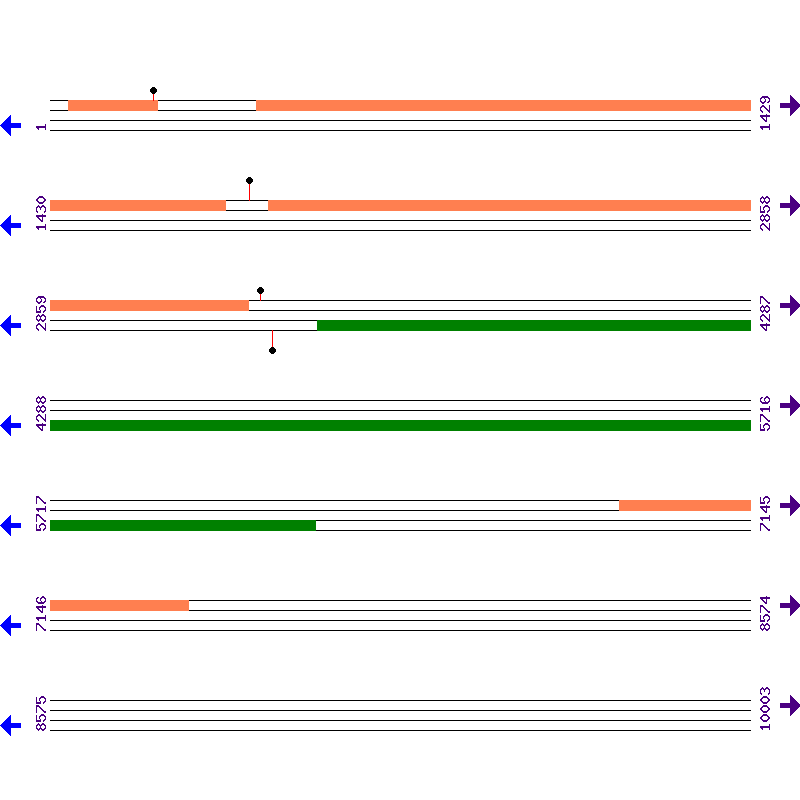 Genome View