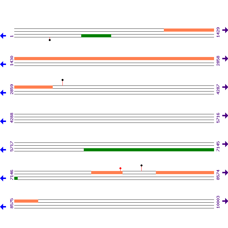 Genome View